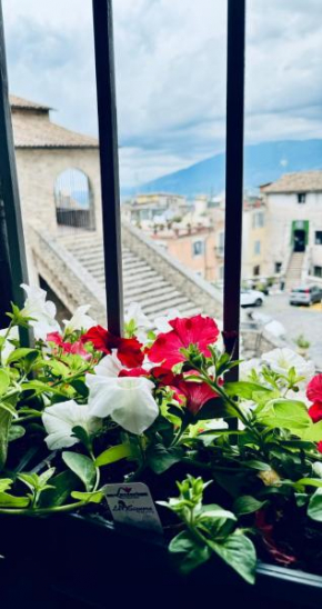 Casa vacanza Città dei Papi Anagni Anagni